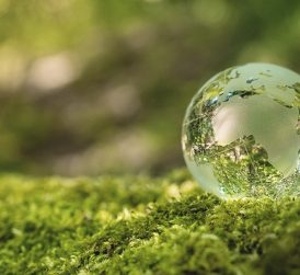 sustainability